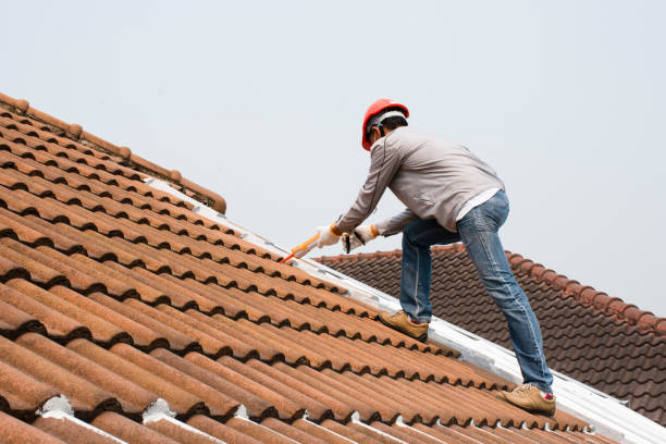 Best Wood Shake Roofing  in Parkville, MO