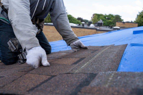 Best Commercial Roofing Services  in Parkville, MO
