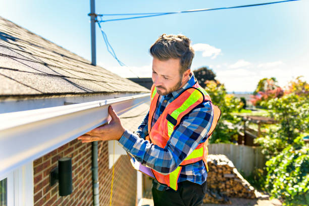 Best Roof Moss and Algae Removal  in Parkville, MO